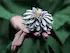 Upcycled Floral Ring With 50,097 Diamonds Breaks The Guinness World Record